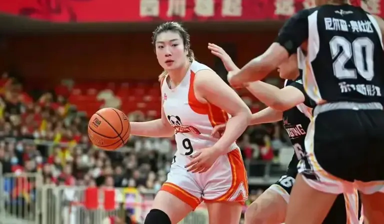 李梦设计的
