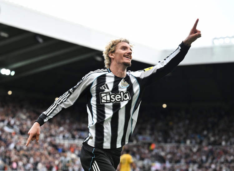 但他们也仅 但他们也仅